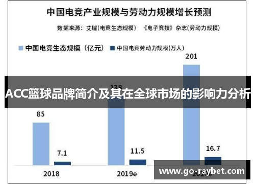 ACC篮球品牌简介及其在全球市场的影响力分析