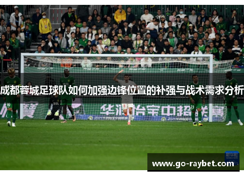 成都蓉城足球队如何加强边锋位置的补强与战术需求分析