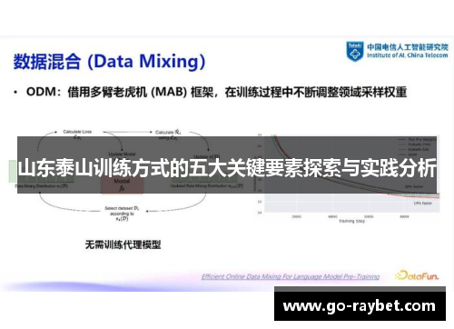 山东泰山训练方式的五大关键要素探索与实践分析