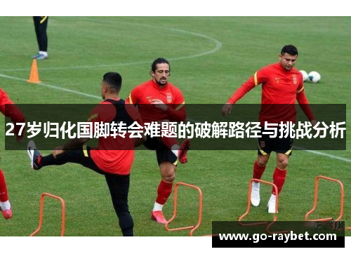 27岁归化国脚转会难题的破解路径与挑战分析