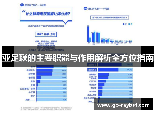 亚足联的主要职能与作用解析全方位指南