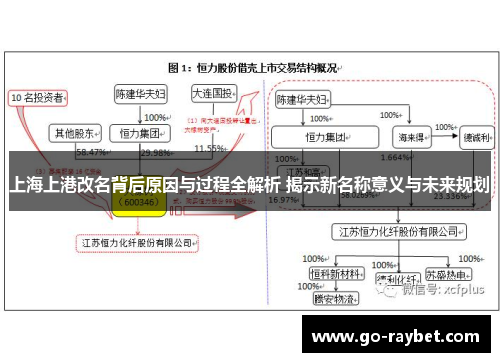 上海上港改名背后原因与过程全解析 揭示新名称意义与未来规划
