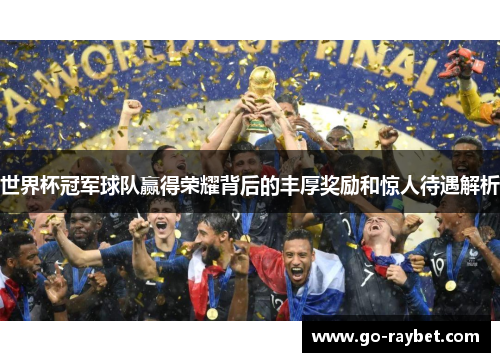 世界杯冠军球队赢得荣耀背后的丰厚奖励和惊人待遇解析