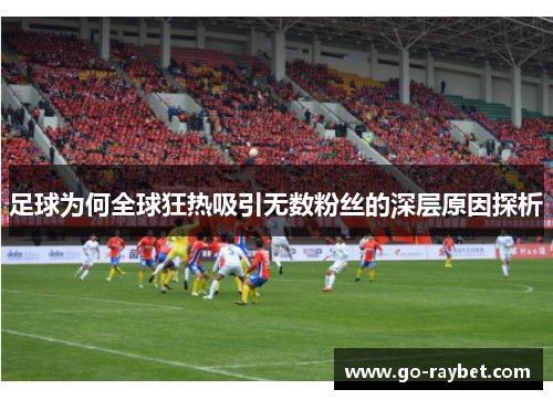 足球为何全球狂热吸引无数粉丝的深层原因探析