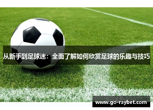 从新手到足球迷：全面了解如何欣赏足球的乐趣与技巧
