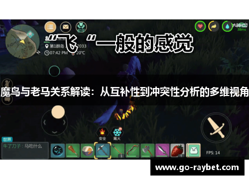 魔鸟与老马关系解读：从互补性到冲突性分析的多维视角