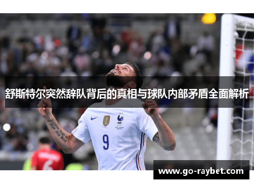 舒斯特尔突然辞队背后的真相与球队内部矛盾全面解析