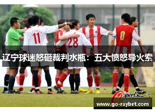 辽宁球迷怒砸裁判水瓶：五大愤怒导火索